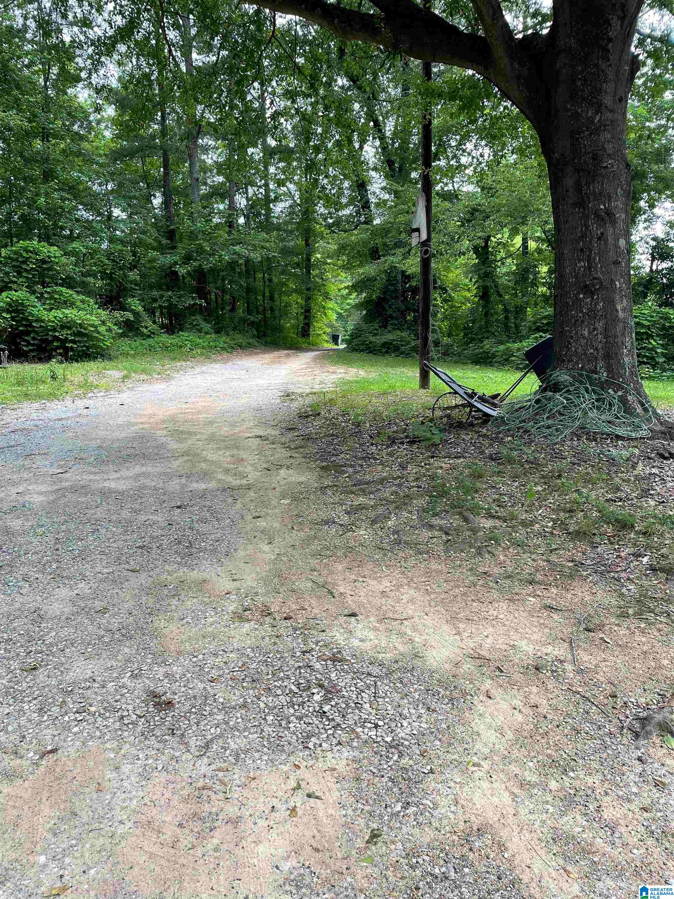 67 Evans Bridge Road Heflin, AL 36264 - Photo 25 of 29
