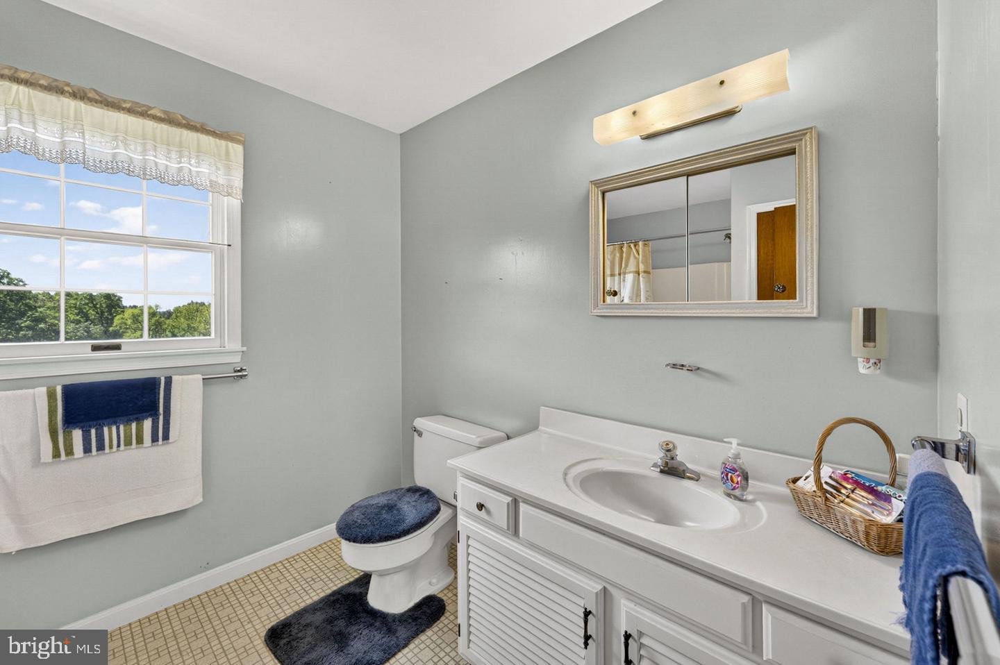 40297 Braddock Road Aldie, VA 20105 - Photo 18 of 34 a bathroom with a toilet sink and mirror
