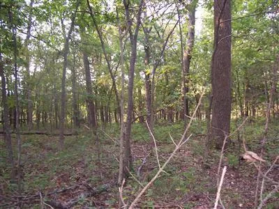 $829,125 | 0 West Outer Road, Farmington, MO 63640