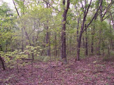 0 West Outer Road Farmington, MO 63640 - Photo 2 of 2