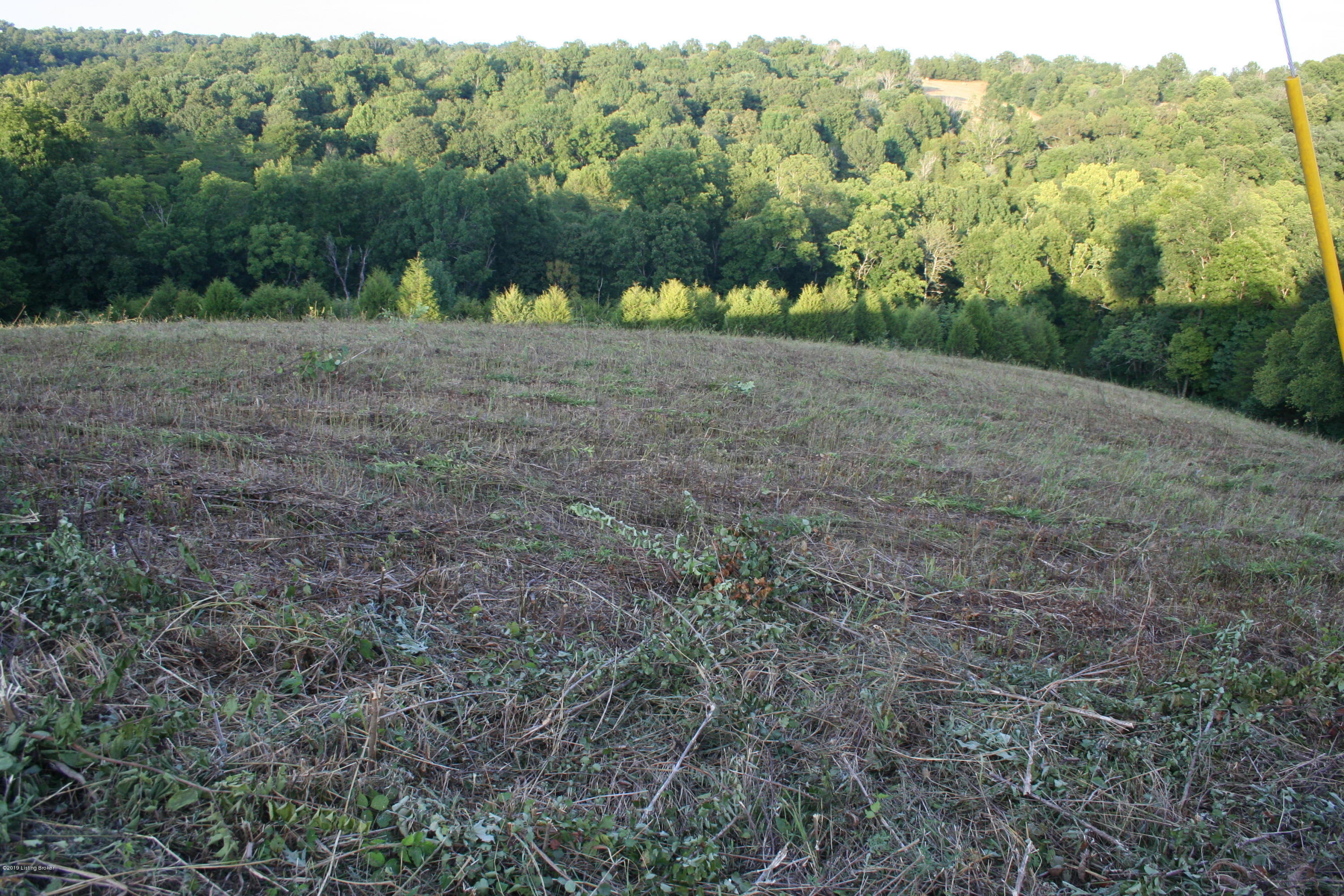 1104 Long Road Lawrenceburg, KY 40342 - Photo 31 of 35 51