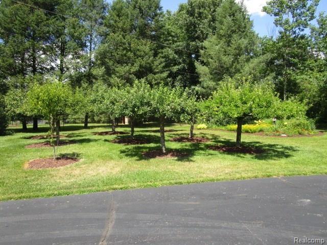 10382 Horton Road Goodrich, MI 48438 - Photo 57 of 72 IMG_5728.JPG