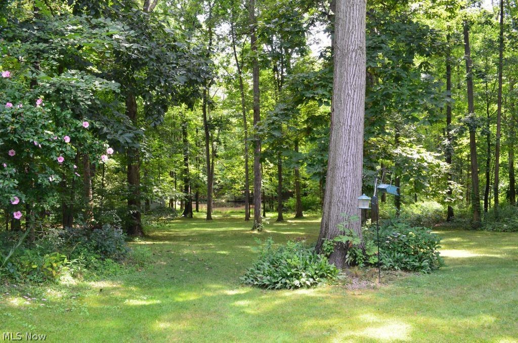 221 South Medina Line Road Akron, OH 44321 - Photo 22 of 32