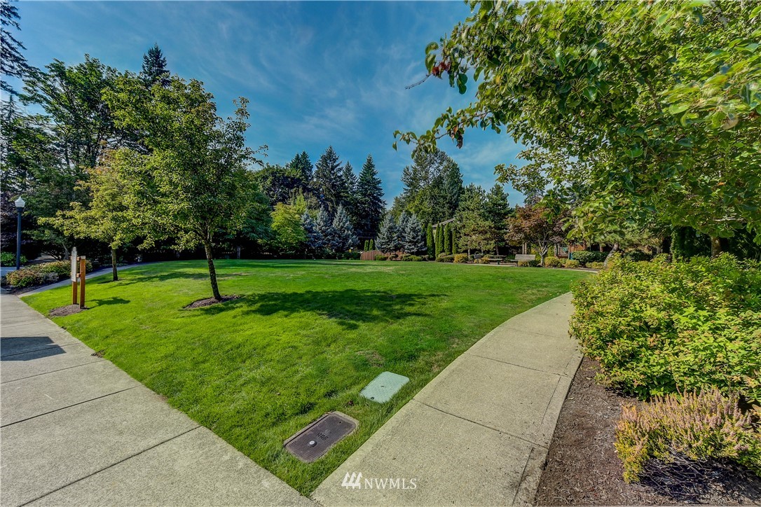 21802 38th Drive Southeast Bothell, WA 98021 - Photo 26 of 26 a view of a park with large trees