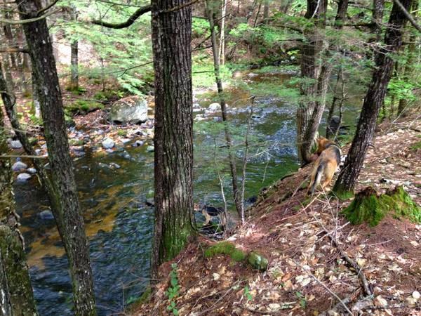 0 Tolman Road Harrison, ME 04040 - Photo 6 of 10 The Bear River flows into Long Lake...
