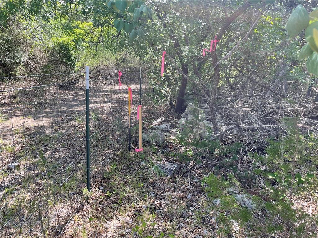 271 Ridgeline Road Leander, TX 78641 - Photo 12 of 20 a view of forest
