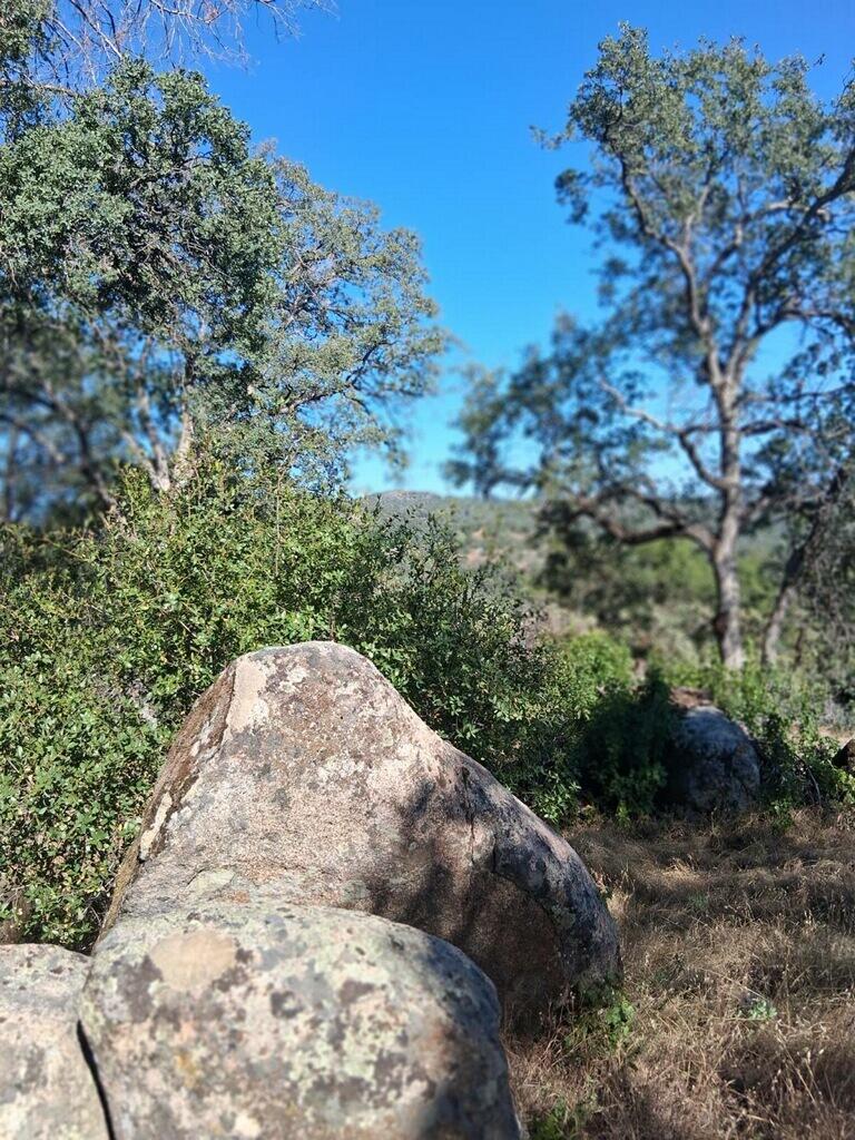 4863 Gavilan Road Mariposa, CA 95338 - Photo 11 of 19
