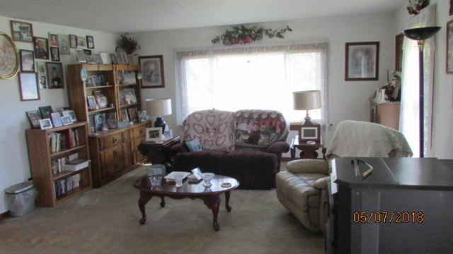 1201 Clarendon Road Homer, MI 49245 - Photo 12 of 24 5.8.2018 Rick (41)