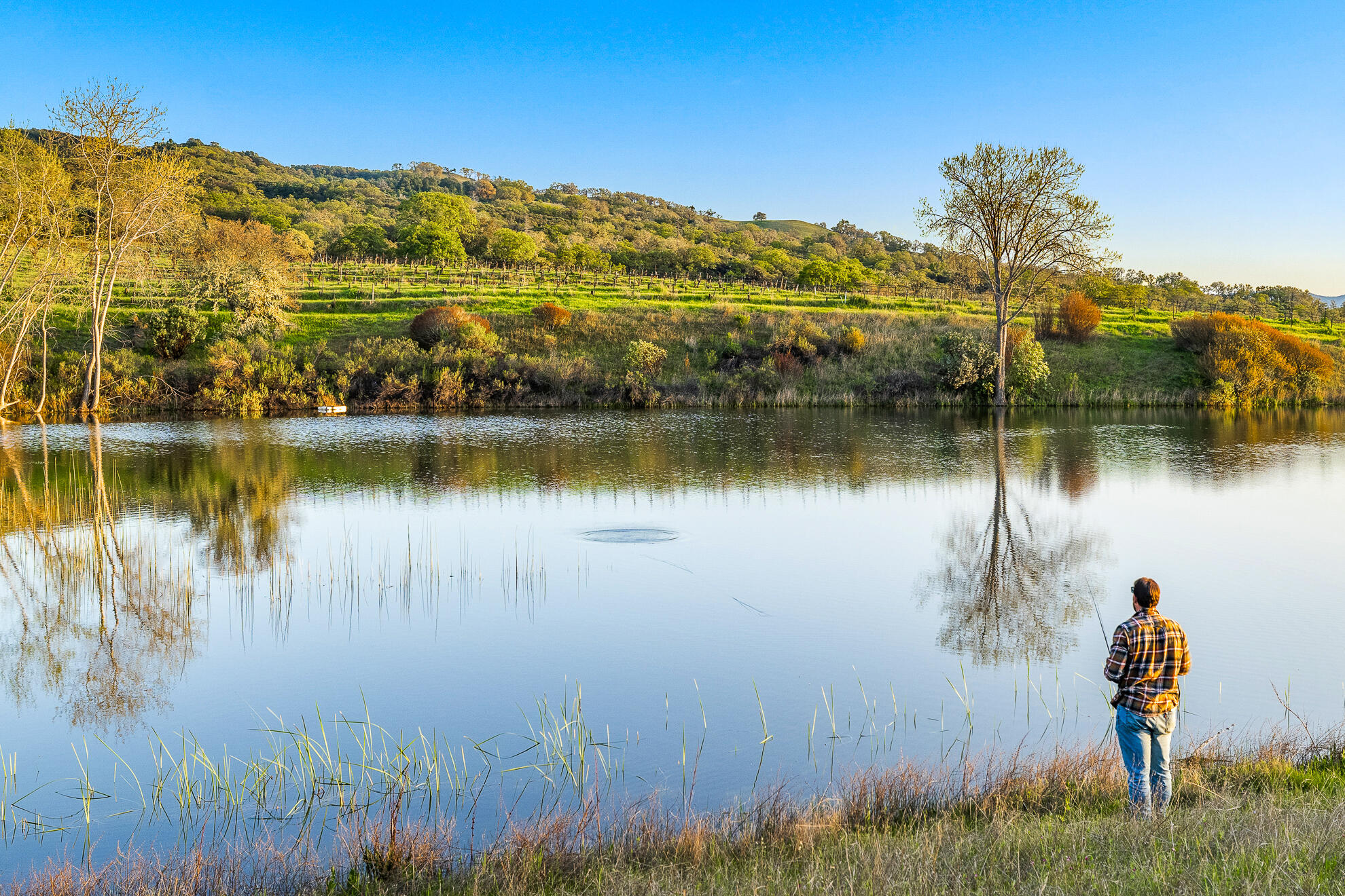 5155 Mill Creek Road Ukiah, CA 95482 - Photo 18 of 51 a view of a lake with a yard and large trees