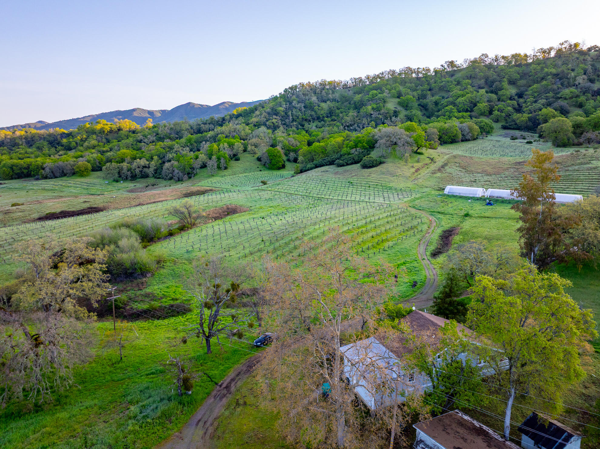 5155 Mill Creek Road Ukiah, CA 95482 - Photo 21 of 51 a view of a lush green hillside and houses