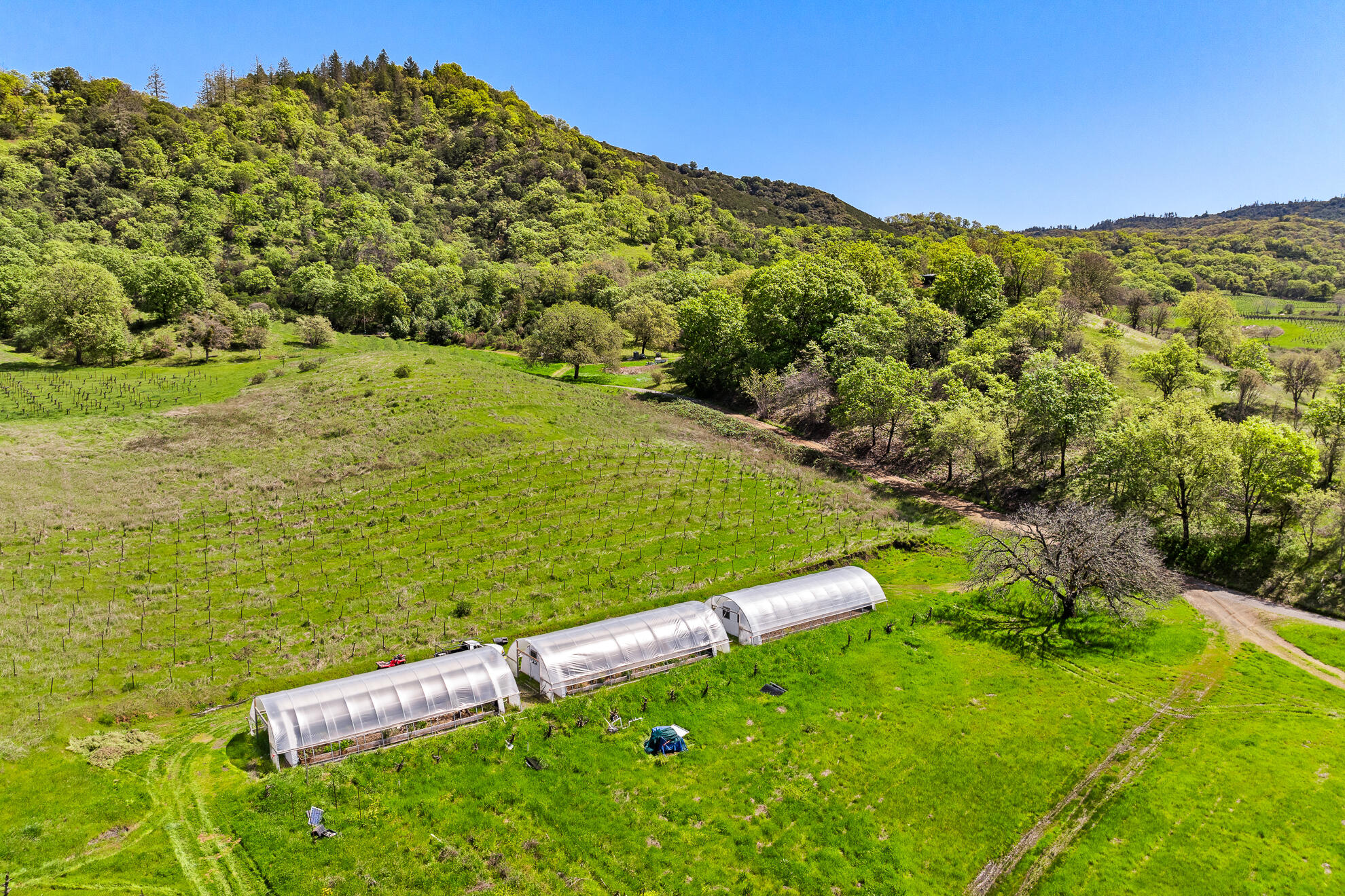 5155 Mill Creek Road Ukiah, CA 95482 - Photo 22 of 51 a view of a field with an trees