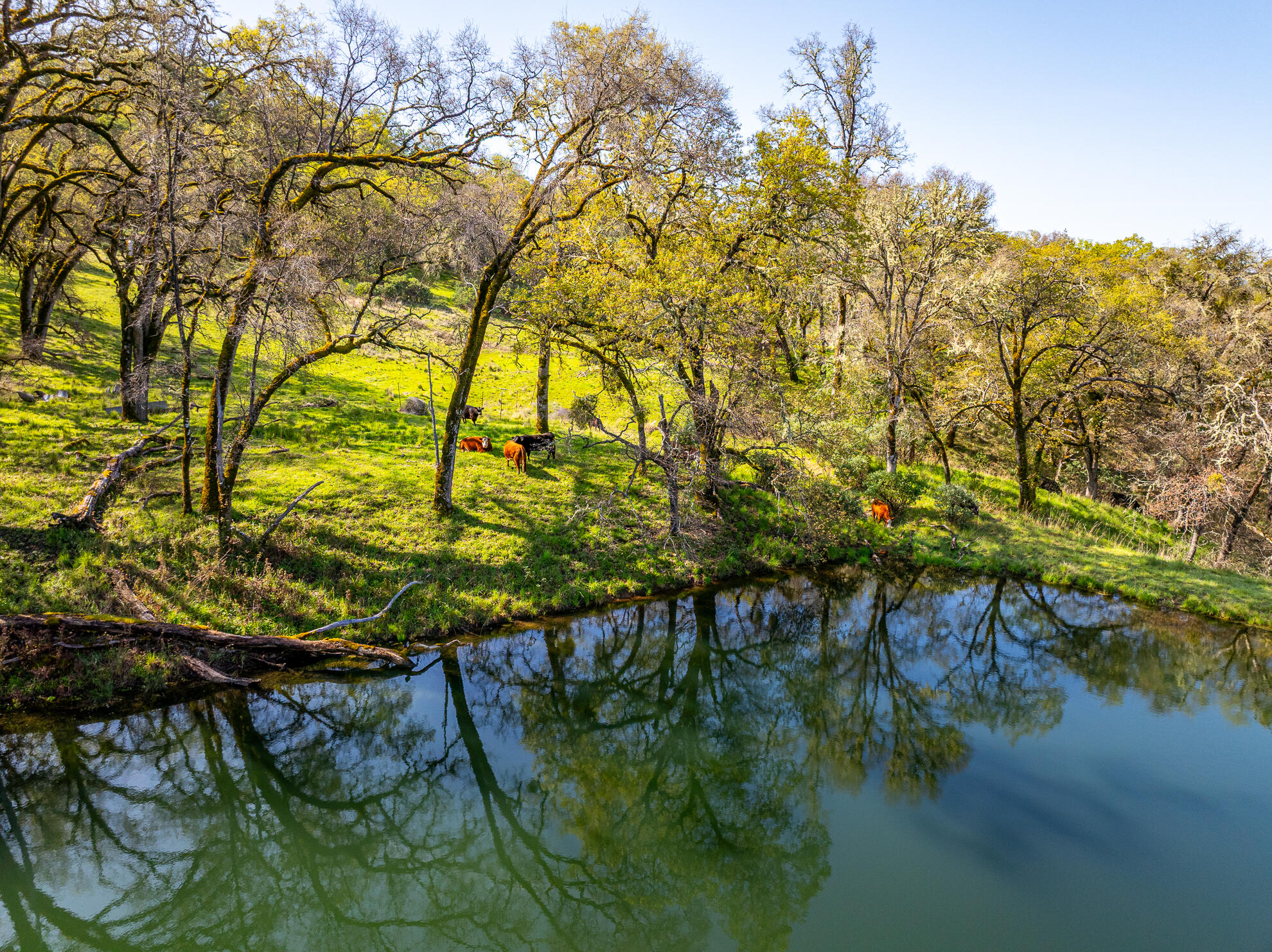 5155 Mill Creek Road Ukiah, CA 95482 - Photo 29 of 51 a view of swimming pool from a lake