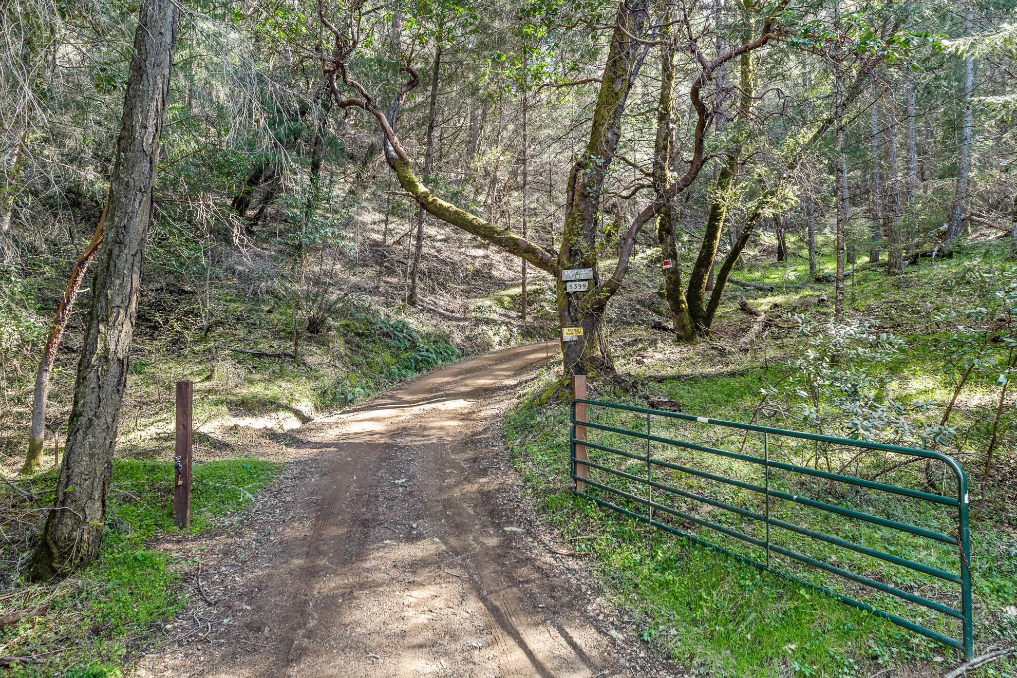 5155 Mill Creek Road Ukiah, CA 95482 - Photo 30 of 51 a view of a yard with wooden fence