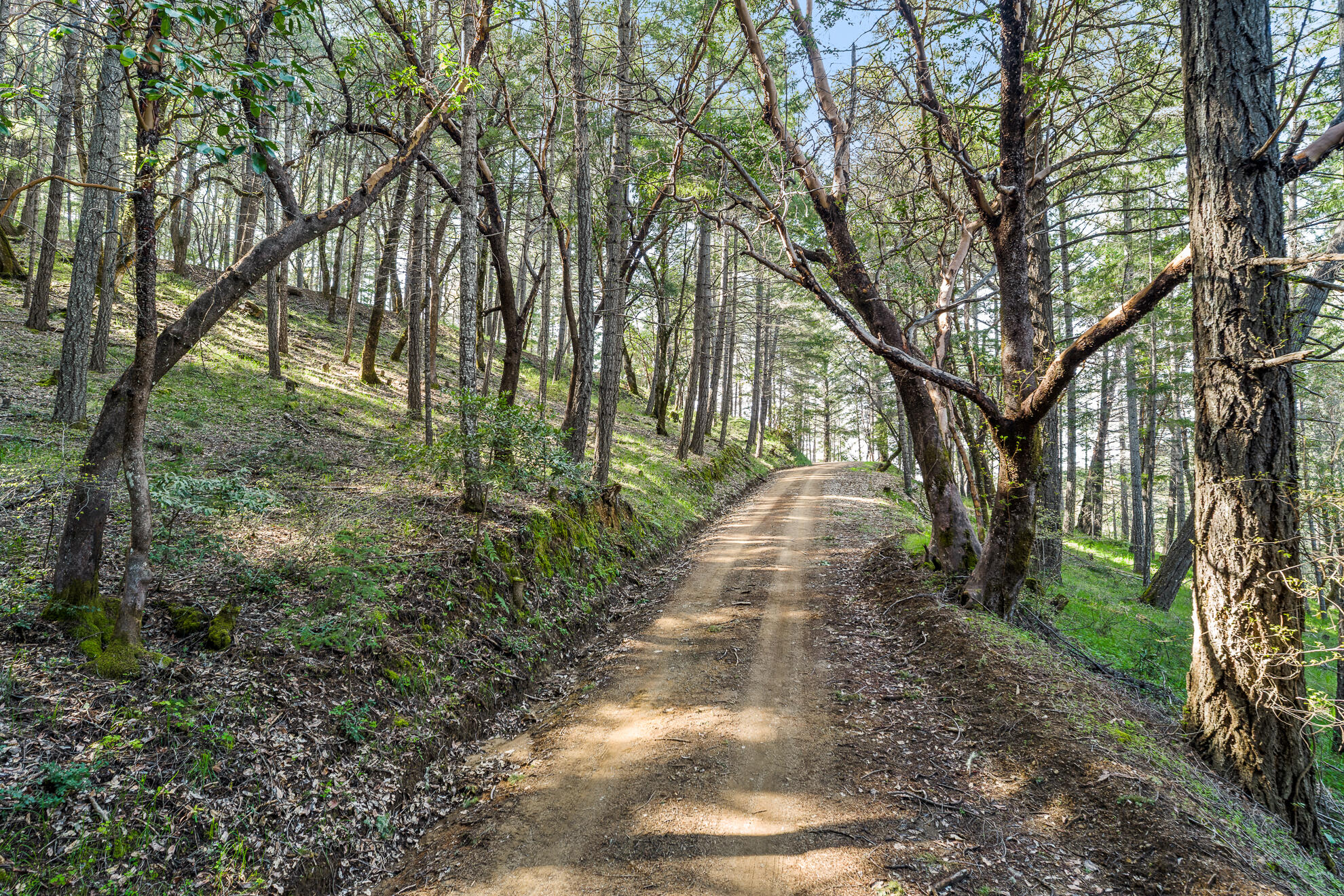 5155 Mill Creek Road Ukiah, CA 95482 - Photo 31 of 51 Eaglepoint Ranch Web-030