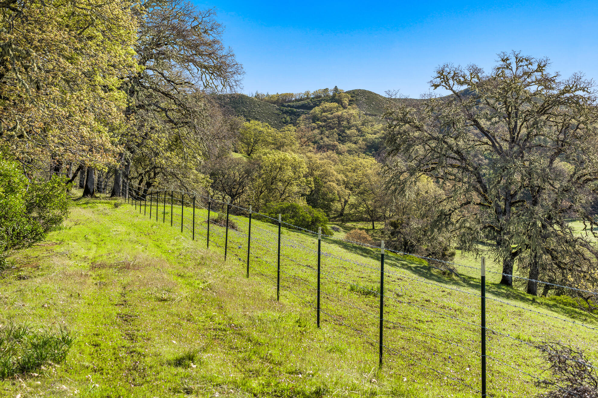 5155 Mill Creek Road Ukiah, CA 95482 - Photo 37 of 51 a view of an ocean view