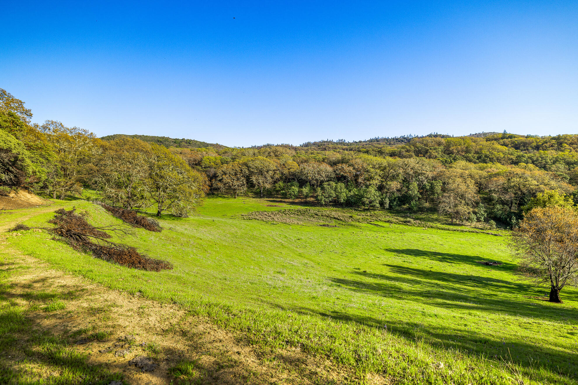 5155 Mill Creek Road Ukiah, CA 95482 - Photo 38 of 51 a view of an ocean from a mountain