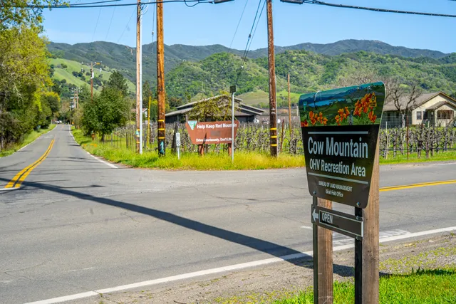 a view of an aerial view of residential houses with outdoor space and trees