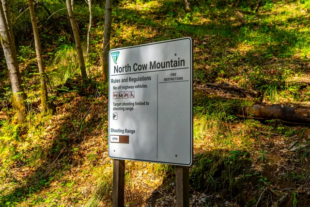 a view of lake with mountain