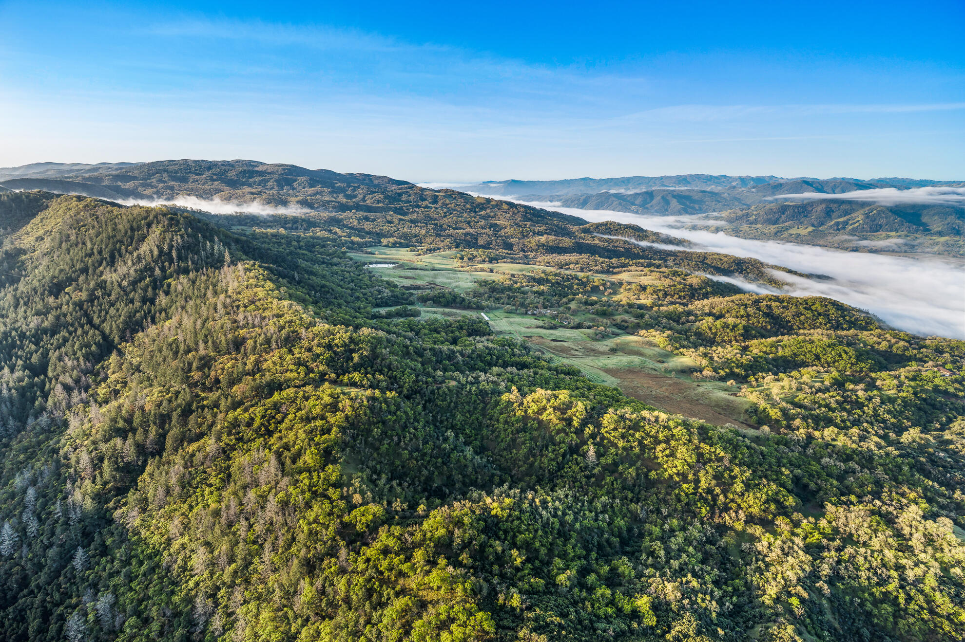 5155 Mill Creek Road Ukiah, CA 95482 - Photo 8 of 51 a view of an ocean