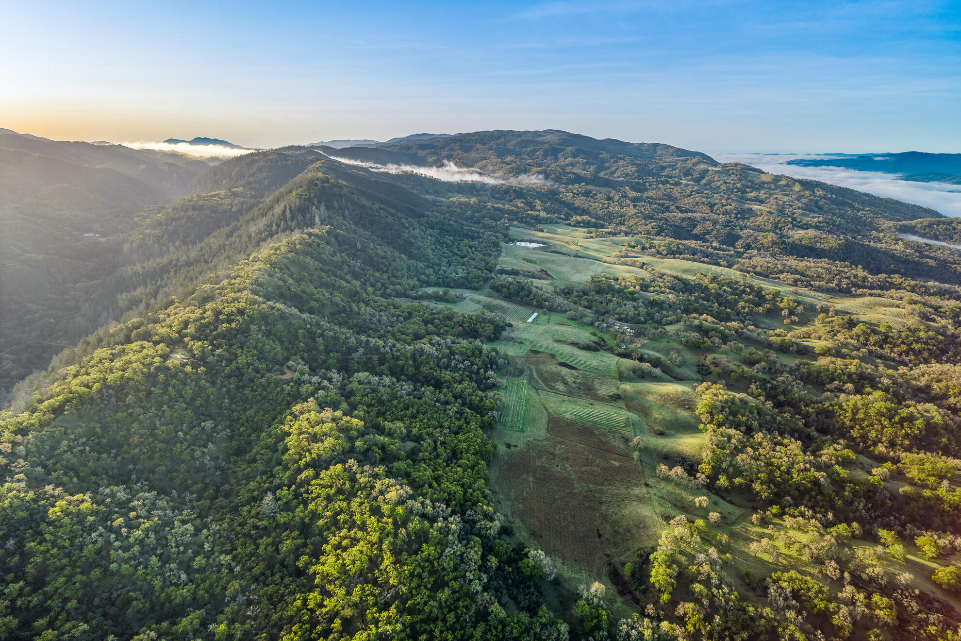 5155 Mill Creek Road Ukiah, CA 95482 - Photo 9 of 51 a view of a mountain range with a lush green forest