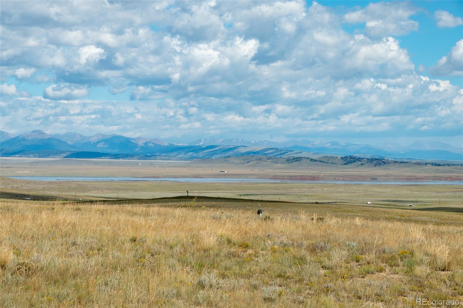2467 Ranch Road Hartsel, CO 80449 - Photo 3 of 49 Gallery Image 3