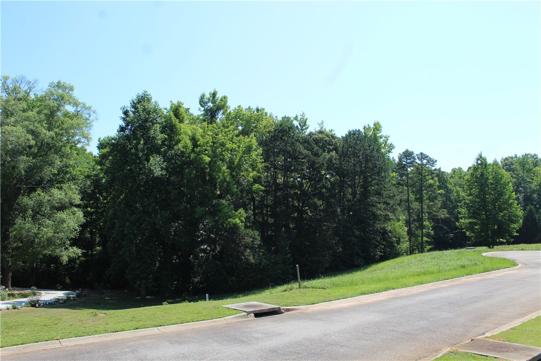 22 Sally Reed Road Belton, SC 29627 - Photo 2 of 9