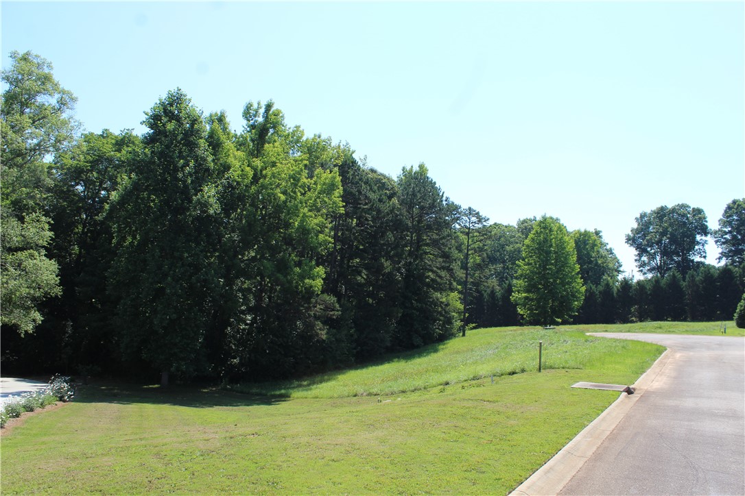 22 Sally Reed Road Belton, SC 29627 - Photo 3 of 9