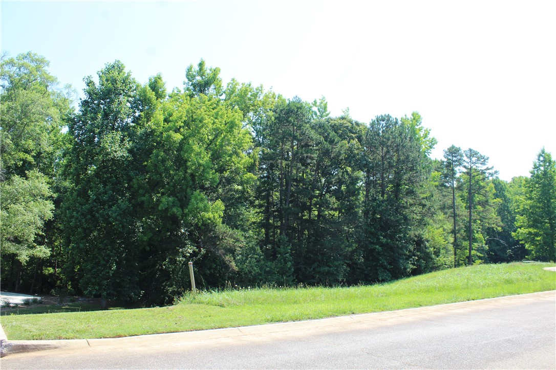 22 Sally Reed Road Belton, SC 29627 - Photo 4 of 9
