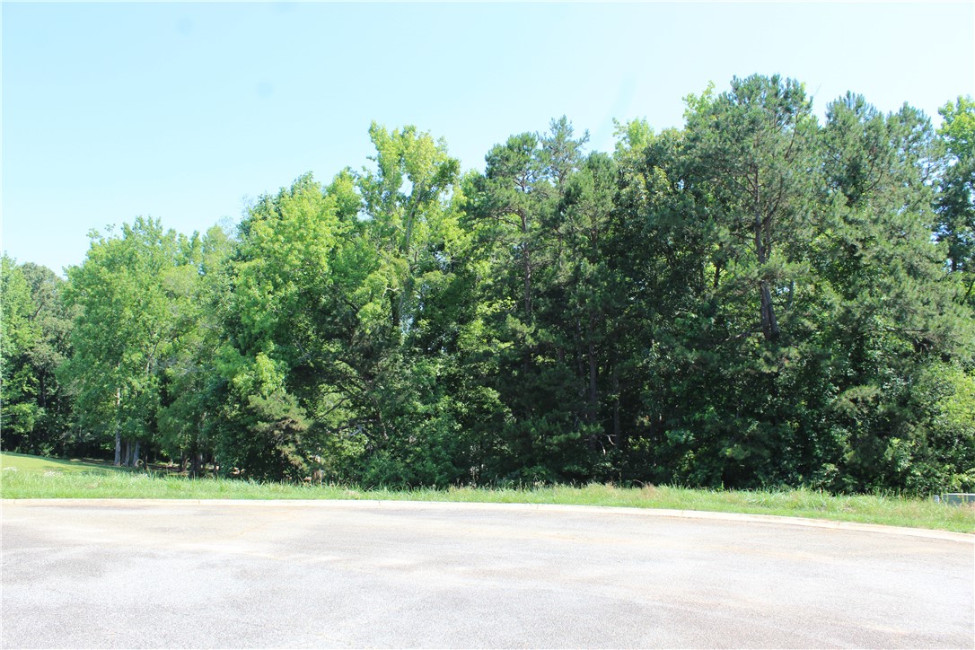 22 Sally Reed Road Belton, SC 29627 - Photo 6 of 9