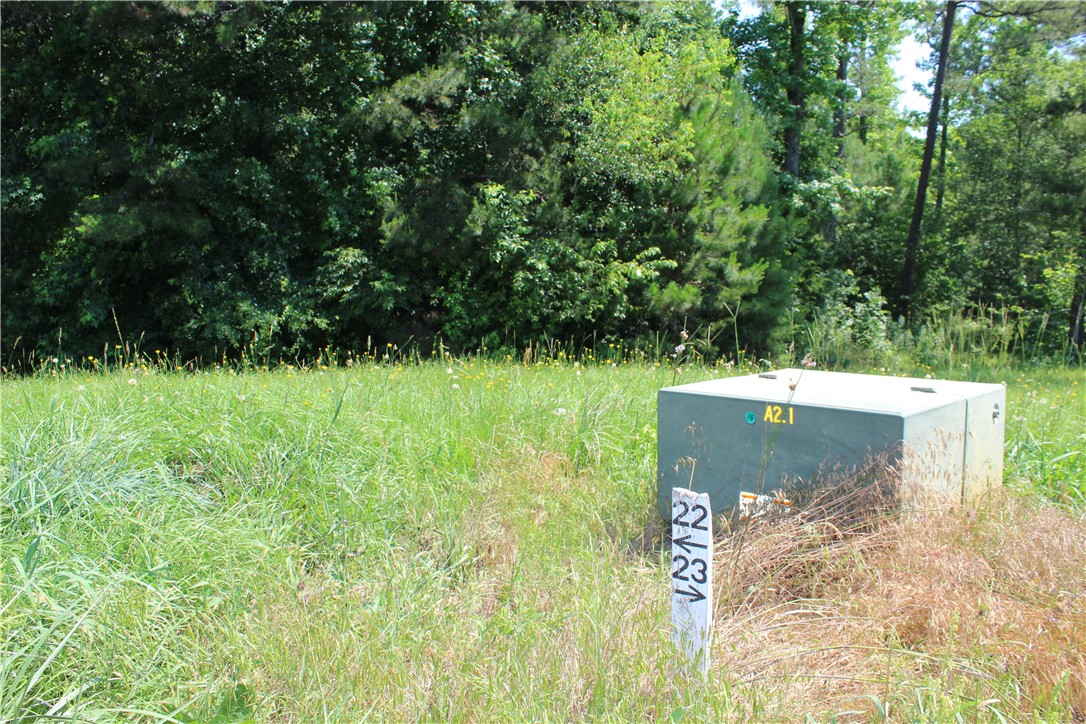 22 Sally Reed Road Belton, SC 29627 - Photo 8 of 9