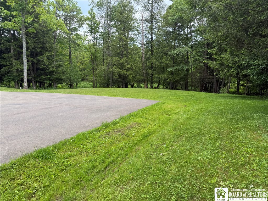 9039 Kidder Road Mina, NY 14781 - Photo 8 of 48 To backyard