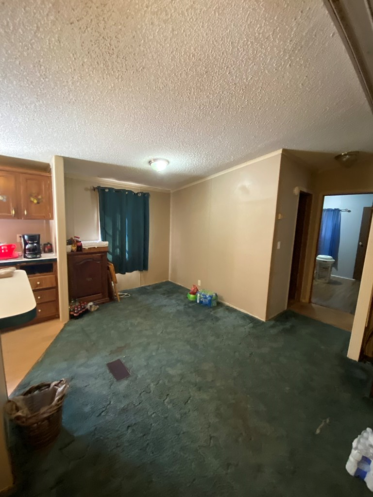 569 Dover Chapel Road Ellijay, GA 30540 - Photo 17 of 32 Gallery Image 17