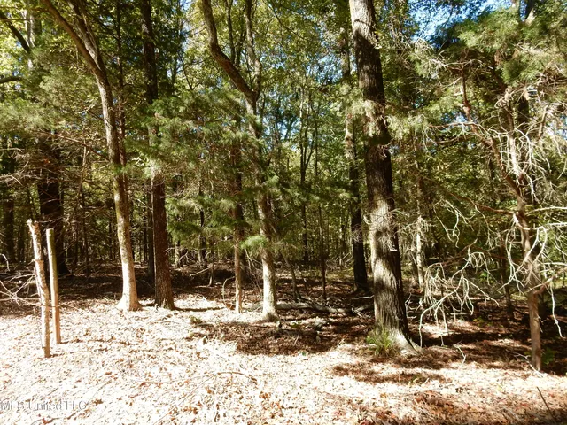 $79,500 | Lot 1 North Crockett Road, Senatobia, MS 38668