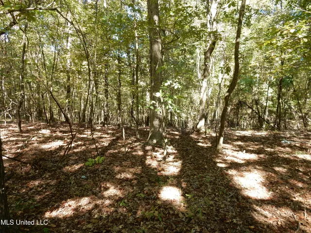$79,500 | Lot 1 North Crockett Road, Senatobia, MS 38668