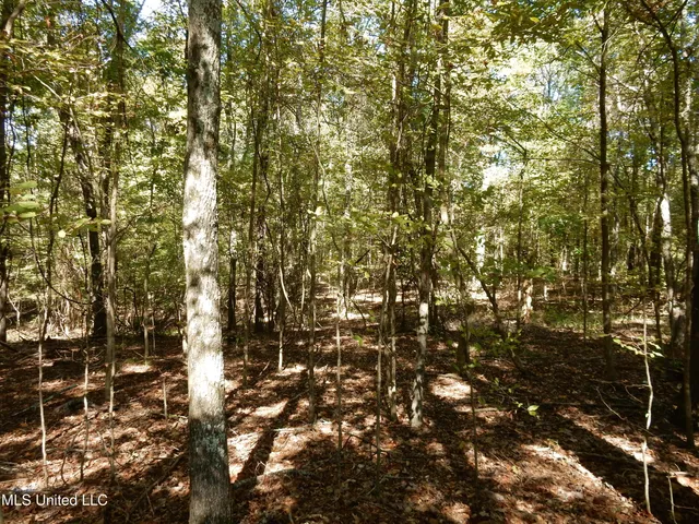 $79,500 | Lot 1 North Crockett Road, Senatobia, MS 38668