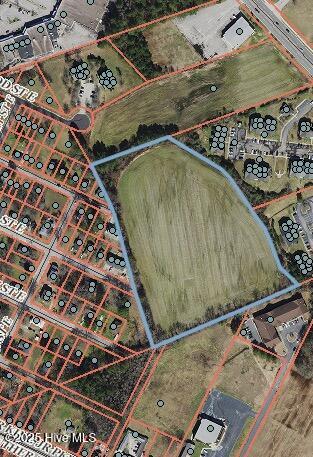 0 Lipscomb Road East Wilson, NC 27893 - Photo 1 of 1 Picture1