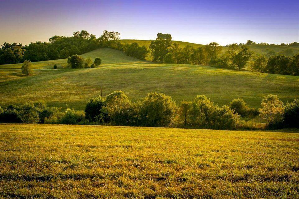 0 Deer Chase Road, Unit TRACT 16 Danville, KY 40422 - Photo 2 of 6 20211001193242170235000000-o