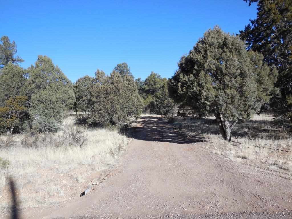 3060 A Chevelon Road Overgaard, AZ 85933 - Photo 9 of 14 a view of a fire pit with large trees