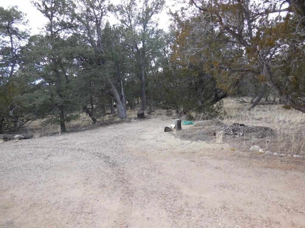3060 A Chevelon Road Overgaard, AZ 85933 - Photo 10 of 14 a view of wooden fence and trees