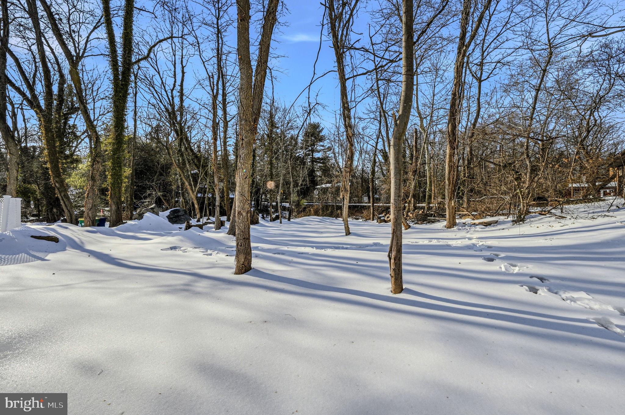 4 Lower Greenbriar Road Wilmington, DE 19810 - Photo 34 of 42 a view of road with trees