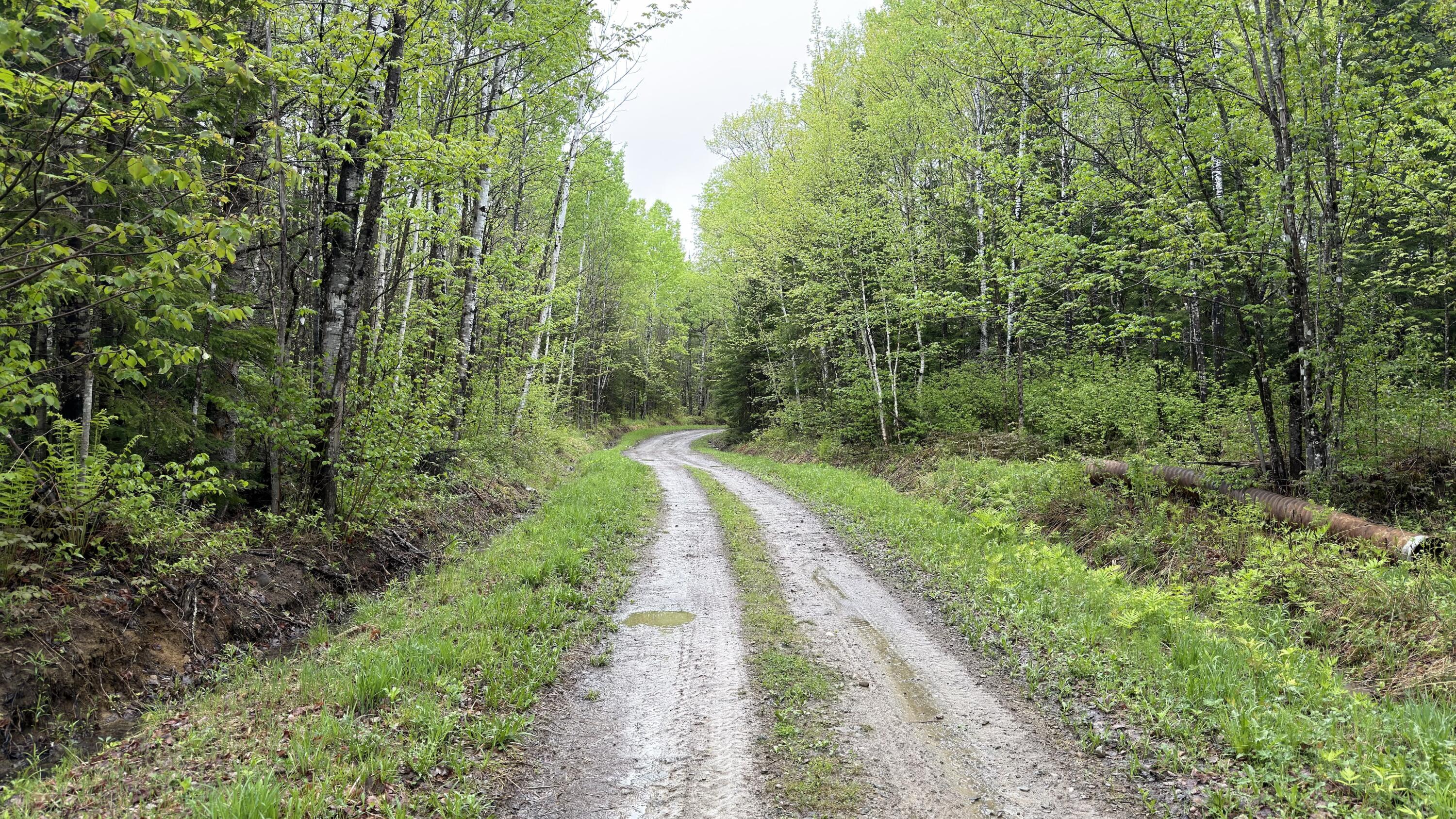 M8-l18-8 Carvell Road Mapleton, ME 04757 - Photo 5 of 7 IMG_2797