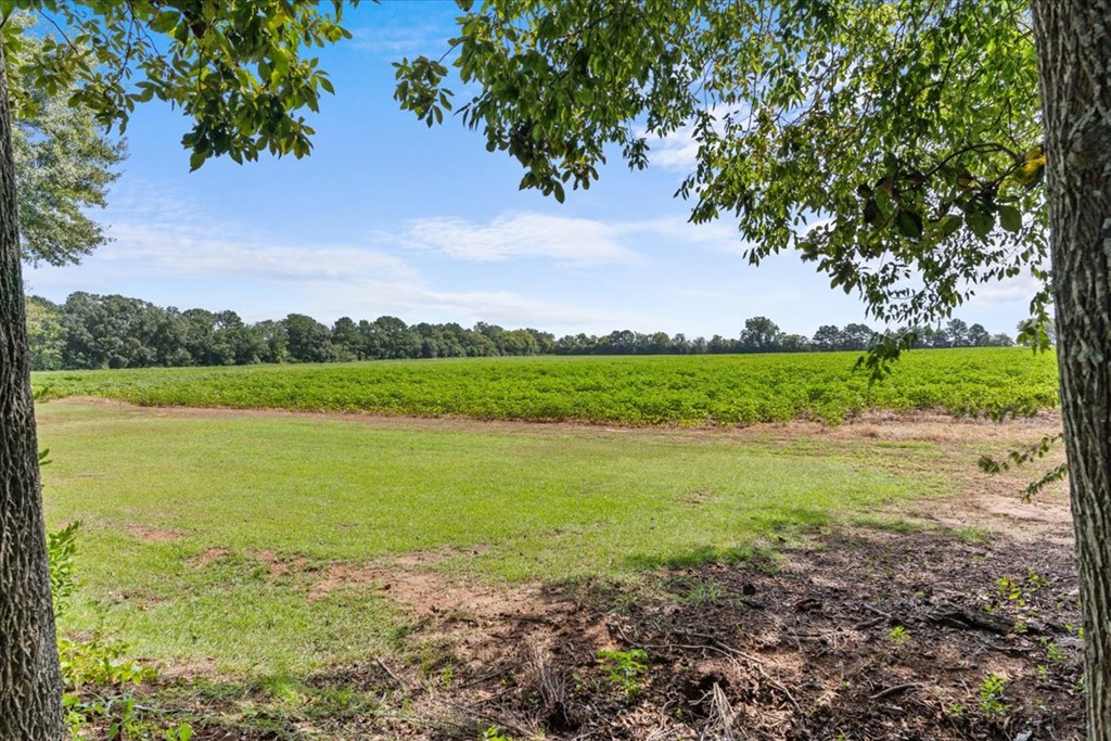 529 Edinburgh Way Dothan, AL 36305 - Photo 39 of 39 Gallery Image 39