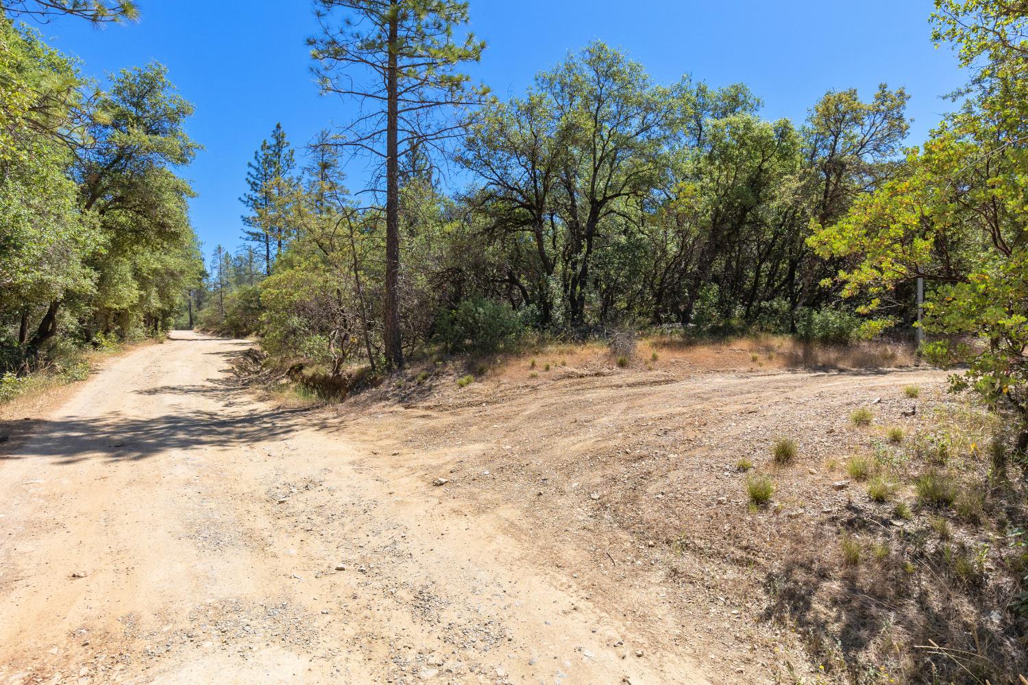 12996 Deadmans Flat Road Grass Valley, CA 95945 - Photo 4 of 12 a view of snow on a road