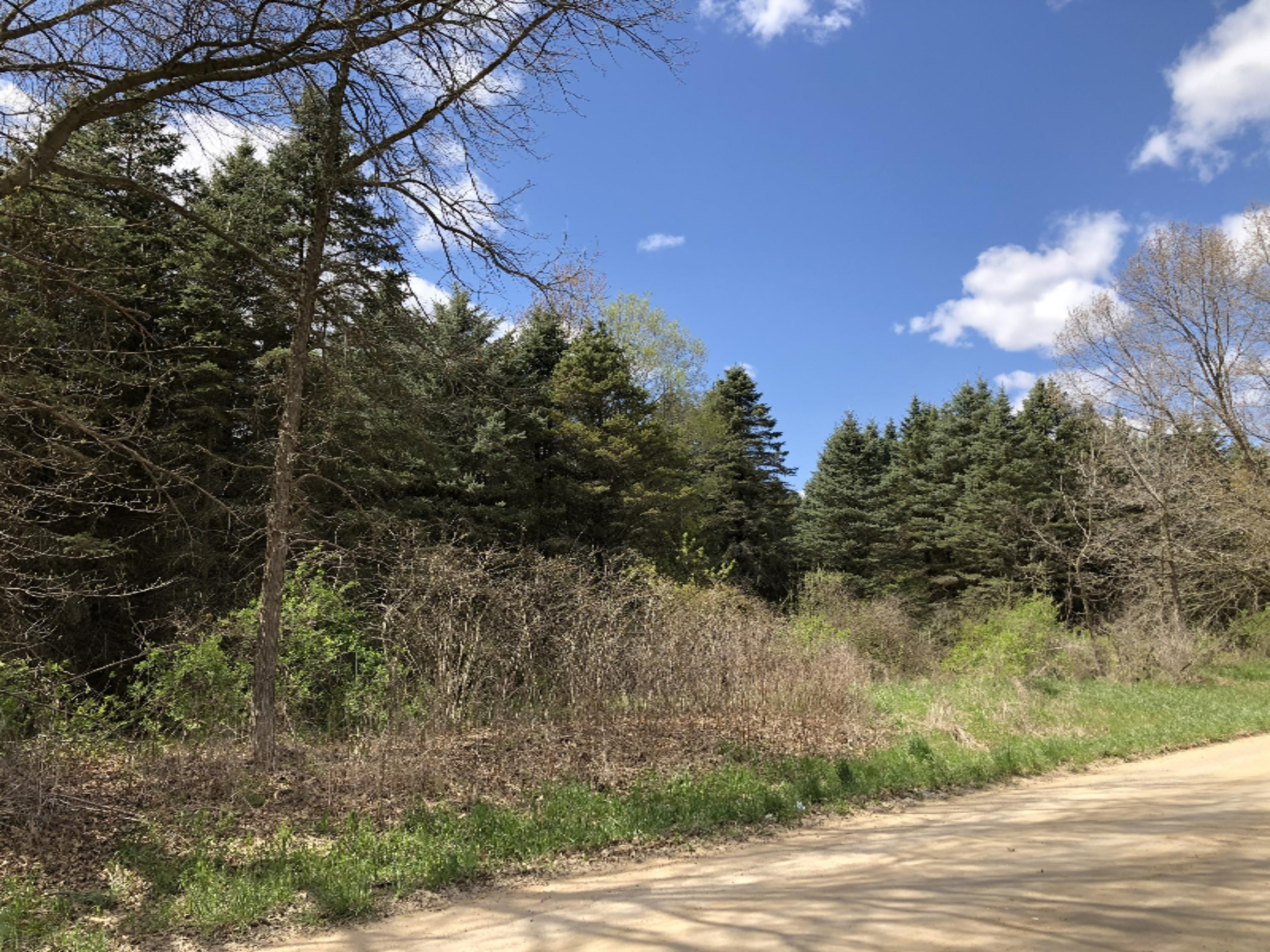 0 Westbrook Road Ionia, MI 48846 - Photo 2 of 20 IMG_8556