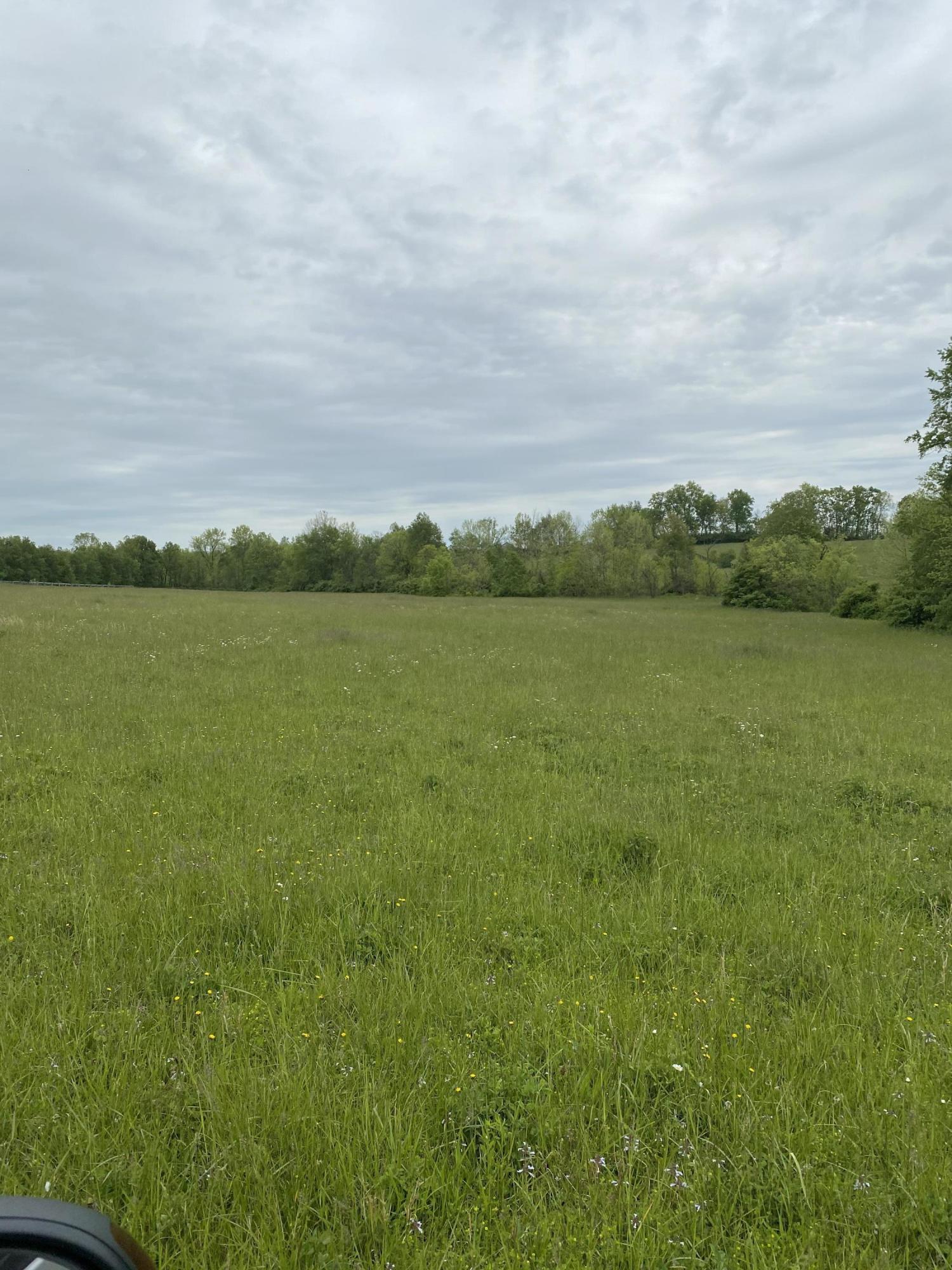 1 Sebree Road Stamping Ground, KY 40379 - Photo 3 of 4 IMG_1609