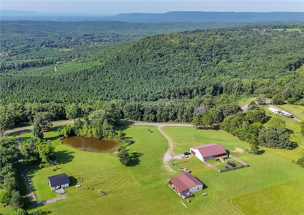 3726 St Joe Road Atkins, AR 72823 - Photo 40 of 41 Aerial view