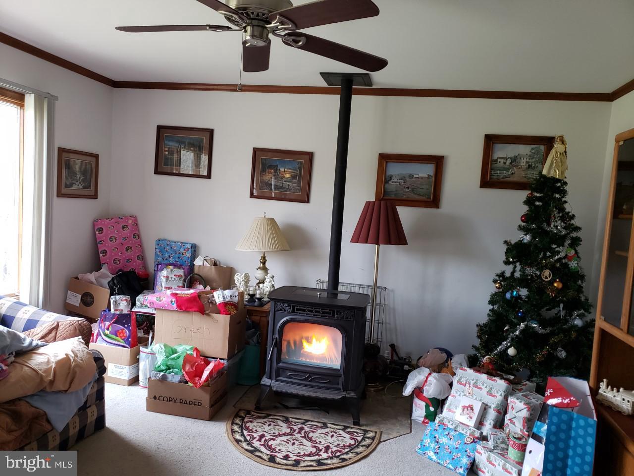 14924 Cherry Lane Ridgely, MD 21660 - Photo 12 of 43 Living room with pellet stove