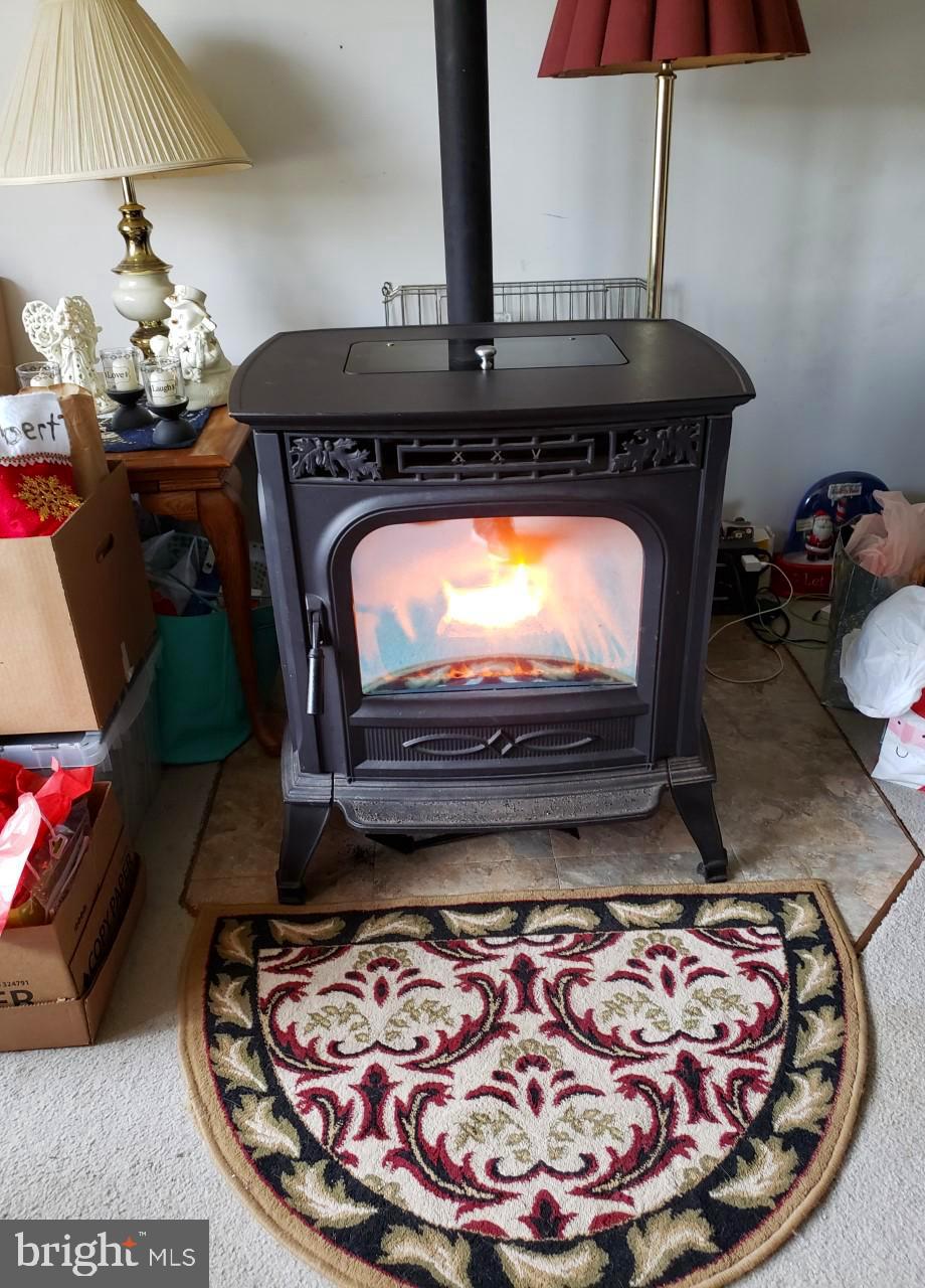 14924 Cherry Lane Ridgely, MD 21660 - Photo 13 of 43 Pellet stove for warm cozy nights -- cold outside!