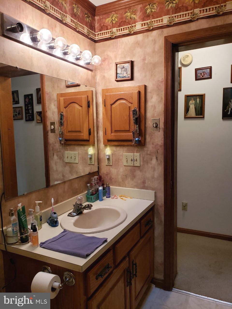 14924 Cherry Lane Ridgely, MD 21660 - Photo 30 of 43 Main bathroom