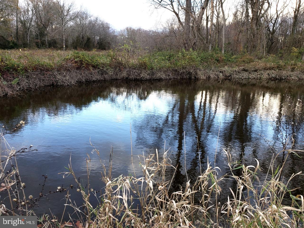 14924 Cherry Lane Ridgely, MD 21660 - Photo 39 of 43 Large stocked pond